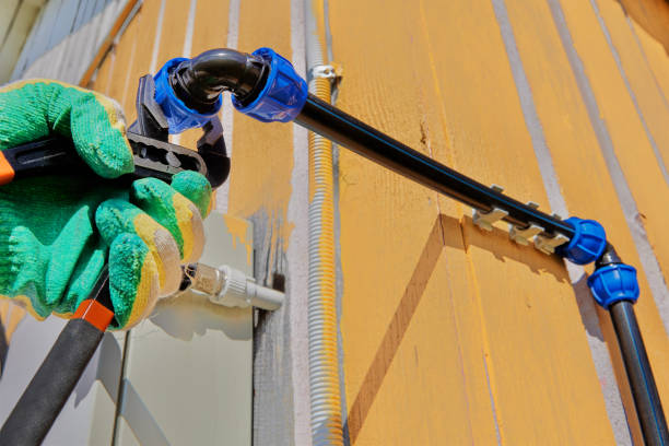 Best Drain Cleaning Services  in Woodland, CA